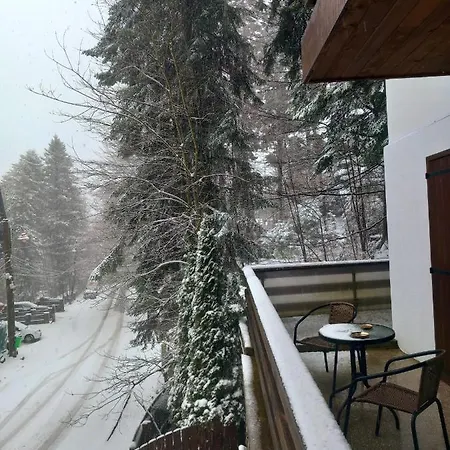 Maria Apartament Sinaia Exterior photo
