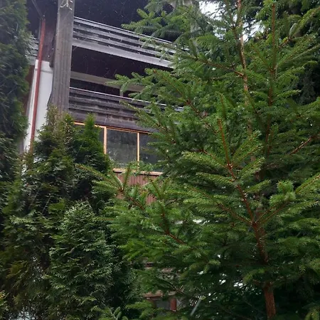 Maria Apartament Sinaia Exterior photo