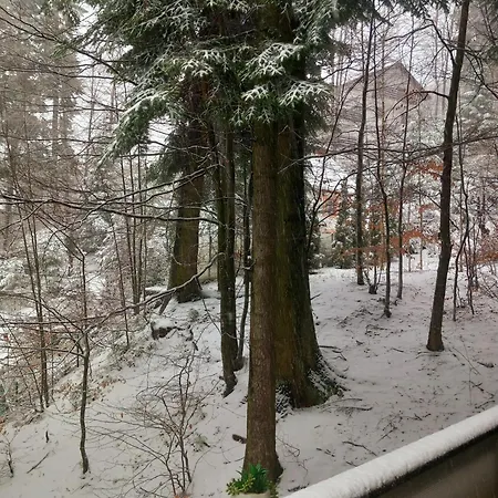 Maria Apartament Sinaia Room photo