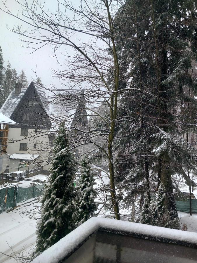 Maria * Sinaia